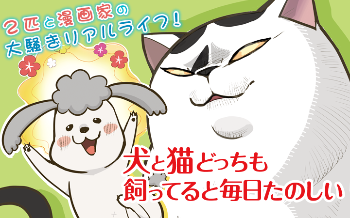 累計発行部数100万部突破！アニメ化もされた話題の犬猫マンガと我が家のペットがコラボ！？『犬と猫どっちも飼ってると毎日たのしい』広告ポスターの制作が決定！Twitterにてペットの写真を大募集！  - nijigen.jp