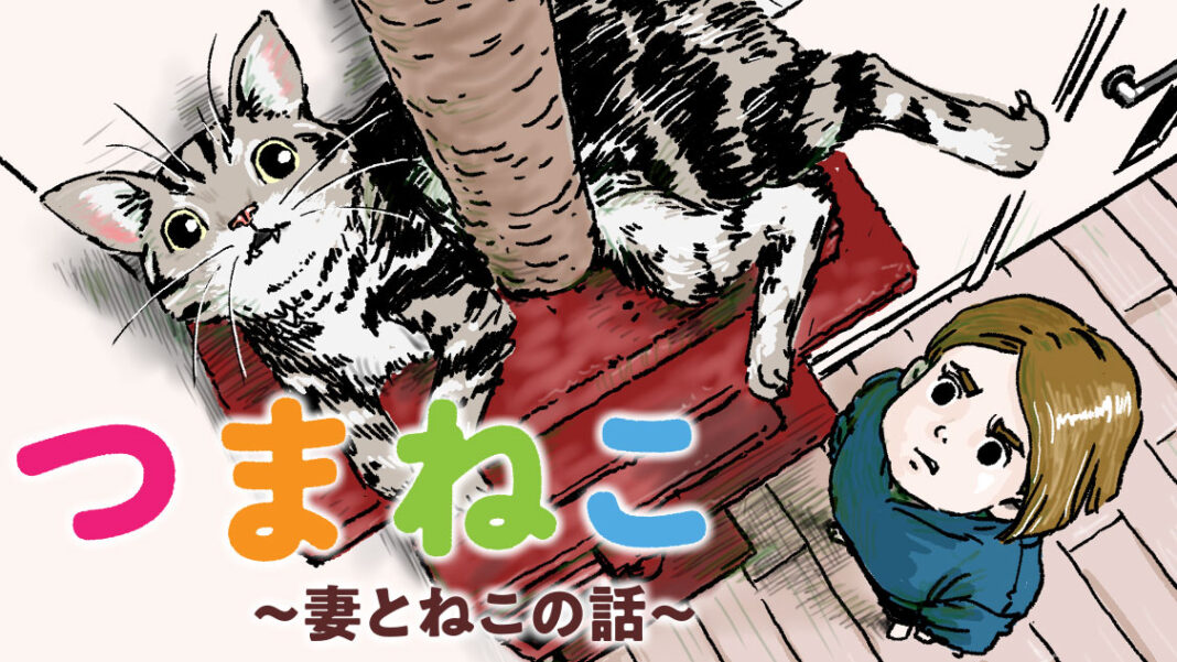 “ほのぼの猫エッセイ”漫画！『つまねこ～妻とねこの話～』(田中光)が、コミックDAYSで9月2日より連載配信スタート！のメイン画像