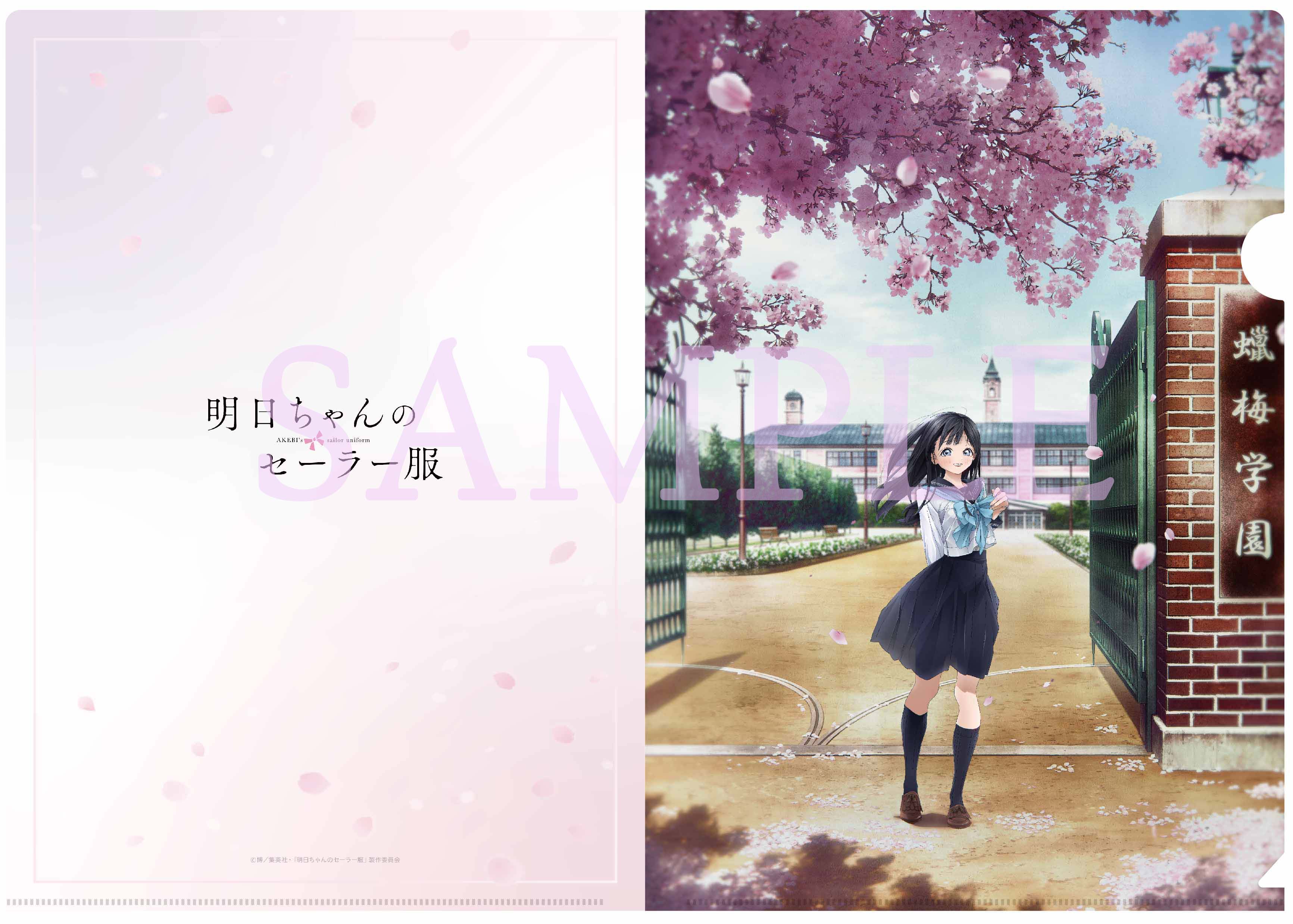 TVアニメ「明日ちゃんのセーラー服」Blu-ray&DVD発売決定！第1巻は4月27日(水)発売！のサブ画像4