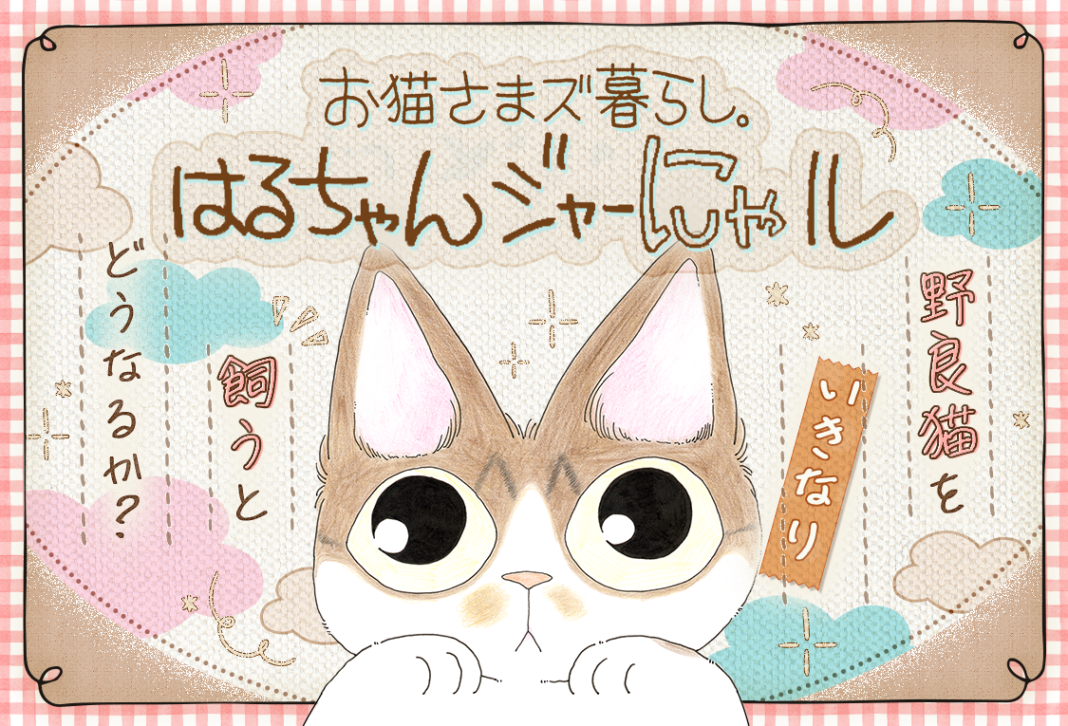 コイン配布の新連載記念キャンペーンも実施！野良猫をいきなり飼うとどうなるか？「お猫さまズ暮らし。　はるちゃんジャーにゃル」マンガParkで連載開始！のメイン画像