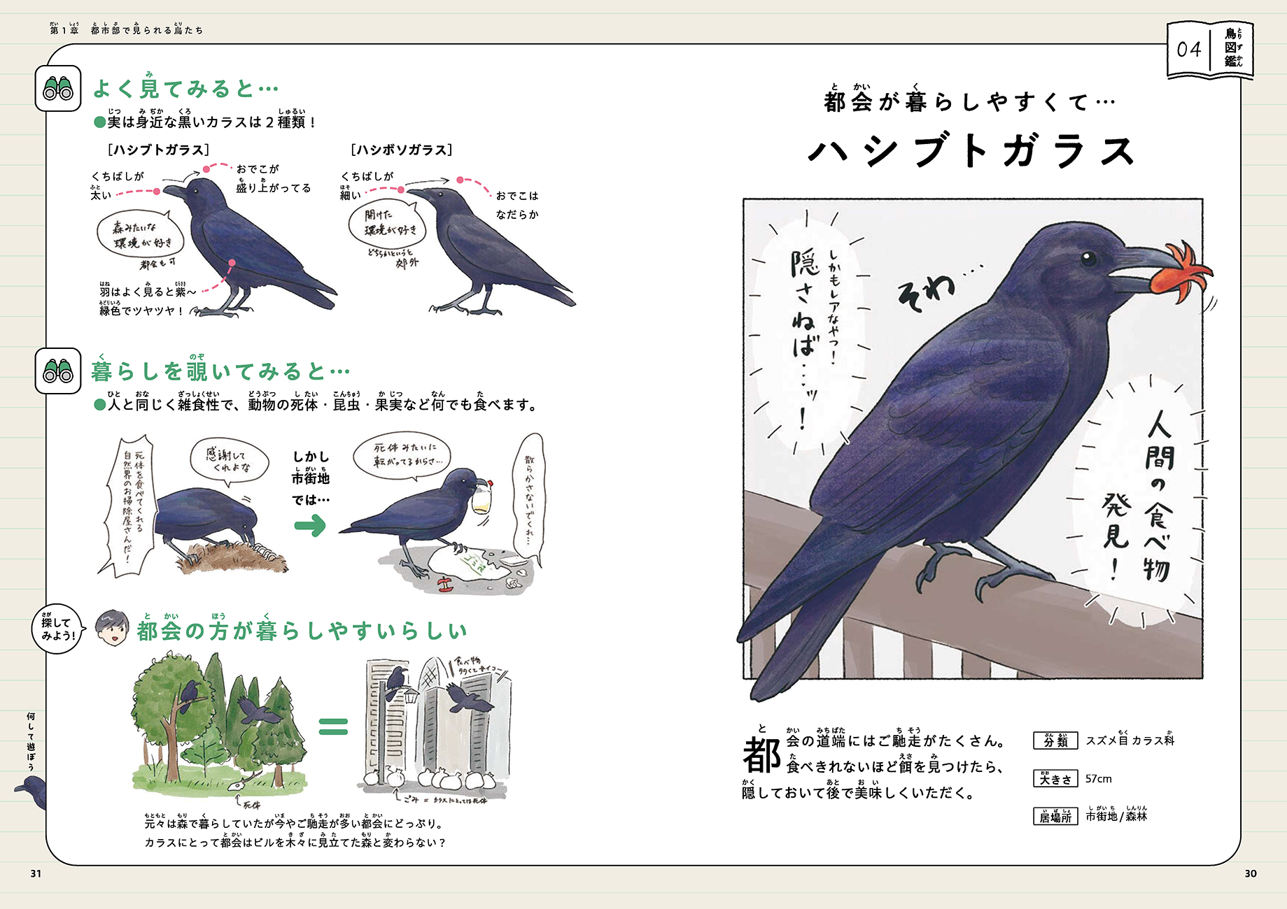 SNSで大人気！　身近な鳥たちのネタが詰まったコミック『意外と知らない鳥の生活』が2024年8月21日（水）に発売！のサブ画像2